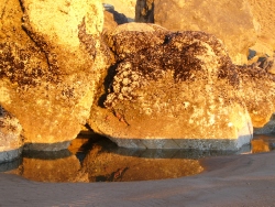 p1150629