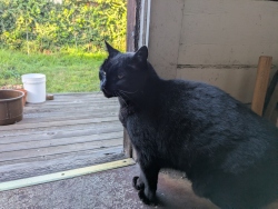 pxl20251204163528921