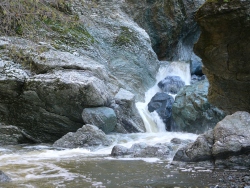 p1090107