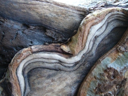 p1090114