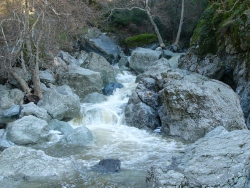 p1090116