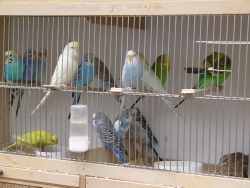 p1010130