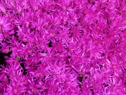 p2350405