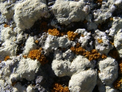 p1070312