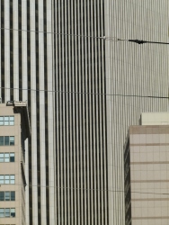 p2010098r