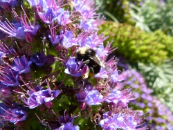 p2010175