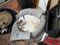 pxl20251205213332242