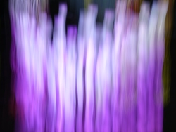p2320305