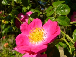 p1110078