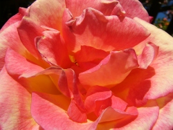 p1110080