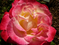 p1110093