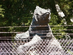 p1220193