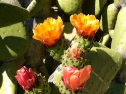 p1220196