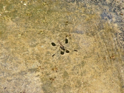 p1220204