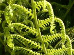 p1220207