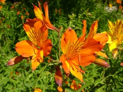 p1220216