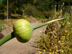 p1220223