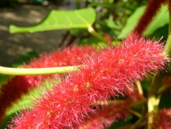 p1220234