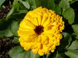 p1040250