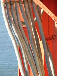 p1150082r