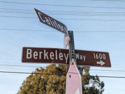 pxl20241106002818078