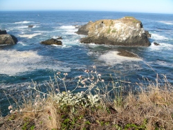 p1190450