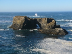 p1190451