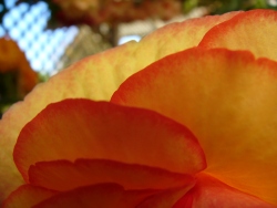 p1190467