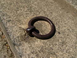 p1190517