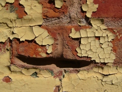 p1190521