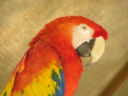 p1220638