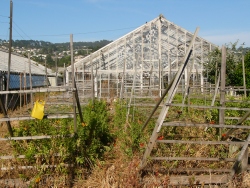 previous
