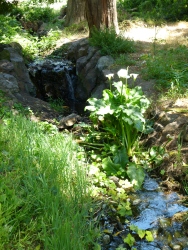 p2020255r