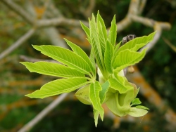 p1270856