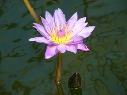 p1180145