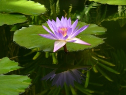 p1180148