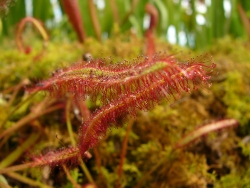 p1180158