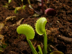 p1180159