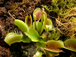 p1180160