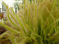 p1180163