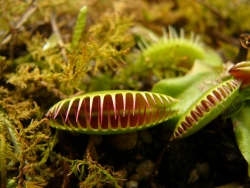 p1180172