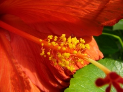 p1180180