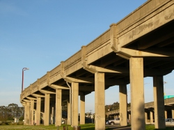 p1180196