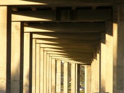 p1180198