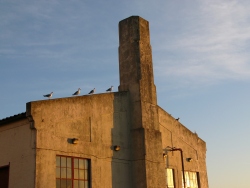 p1180202