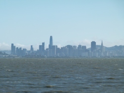 p2300564