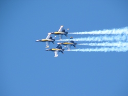 p1200008