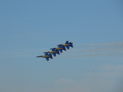 p1200015