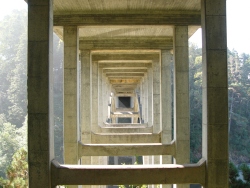 p1190545