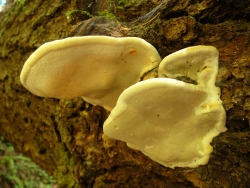p1190556